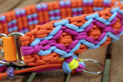 Hundehalsband "Summer Edition"