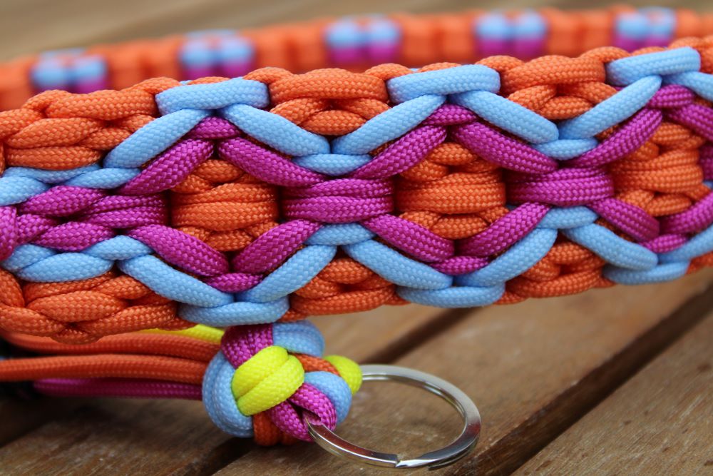 Hundehalsband "Summer Edition"