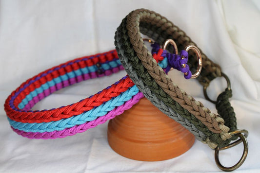 Hundehalsband "Fantastic"