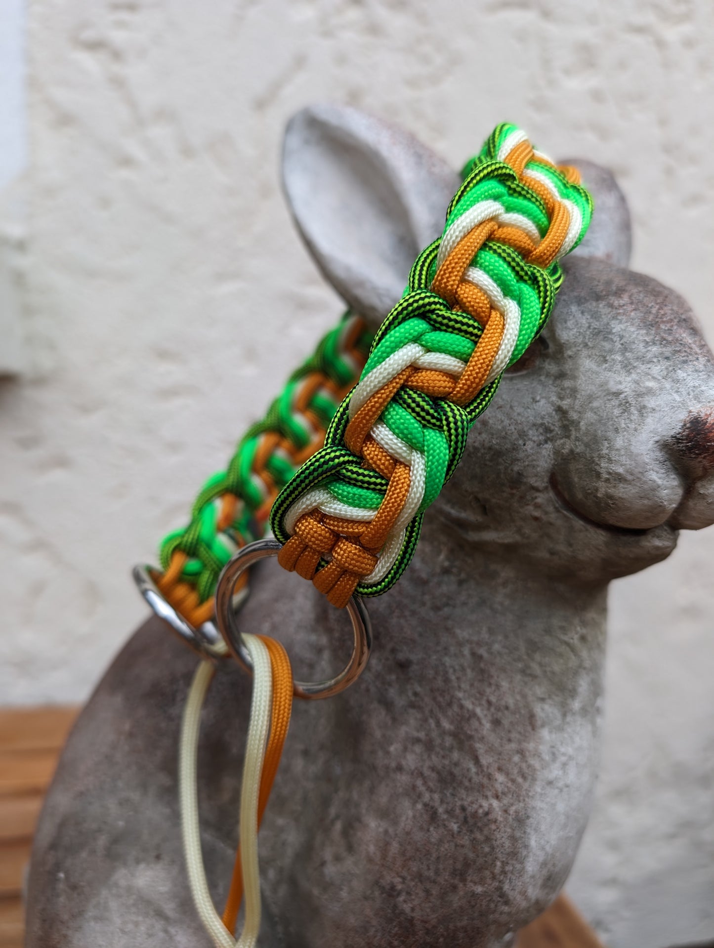 Hundehalsband "Jelly"