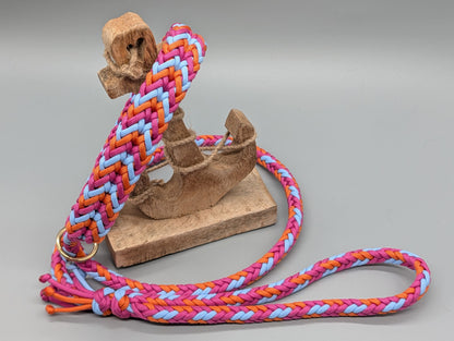 Agilityleine "Sommer-Edition"