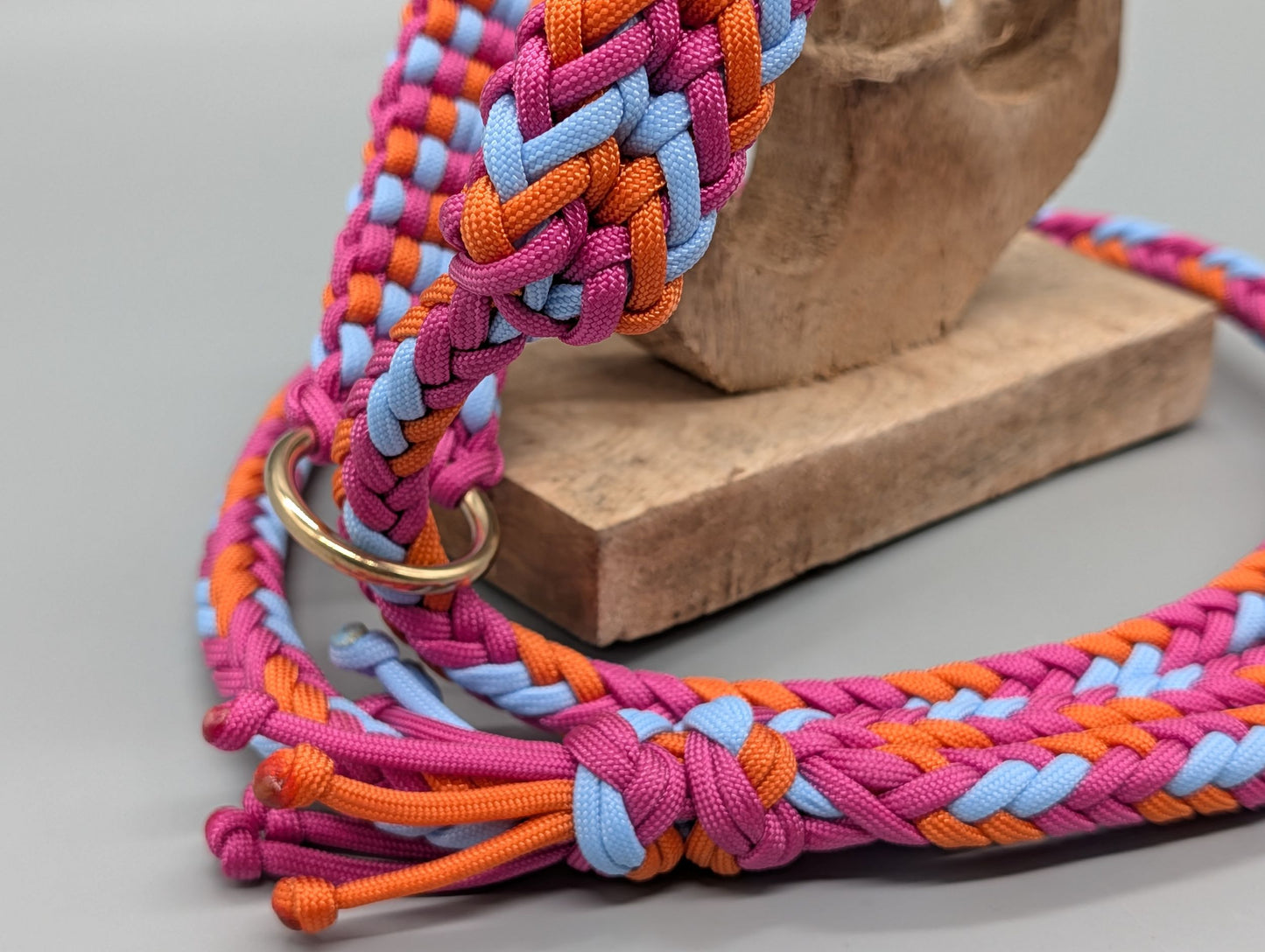 Agilityleine "Sommer-Edition"