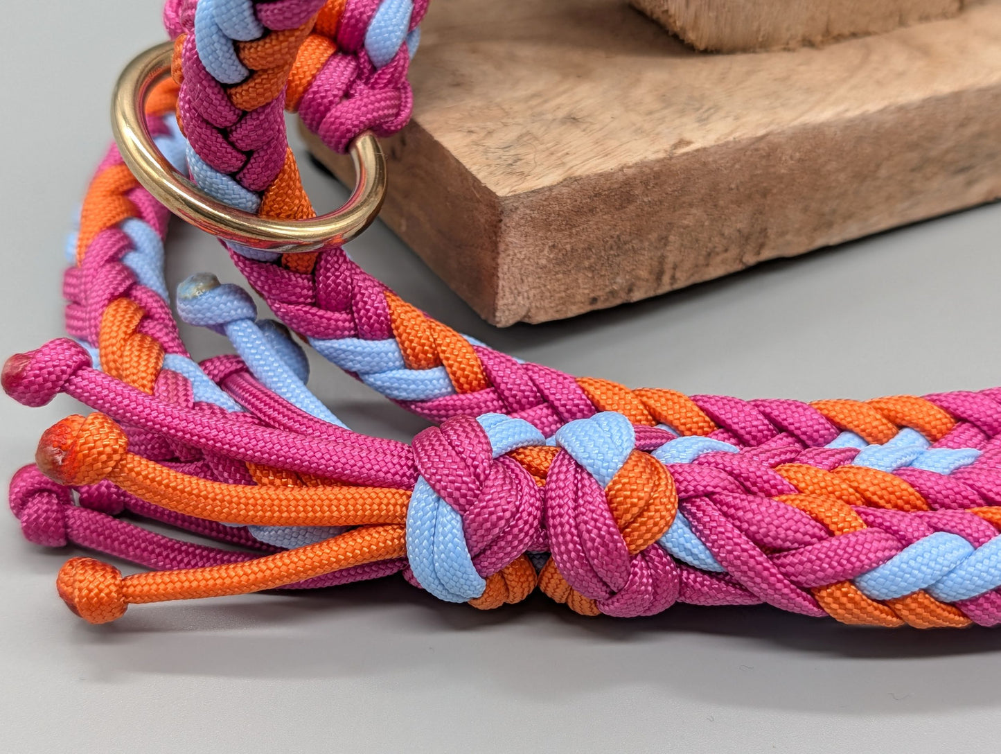 Agilityleine "Sommer-Edition"