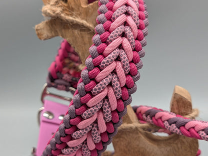 Heringbone Leine + Hundehalsband Set