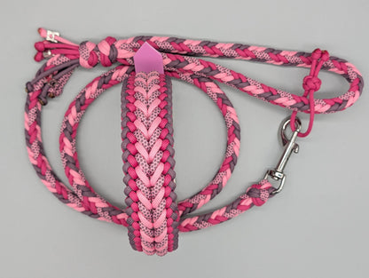 Heringbone Leine + Hundehalsband Set