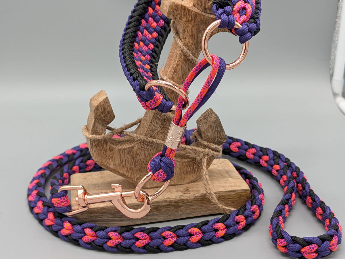 Sofortkauf| Set Halsband 42cm + Leine 120 cm