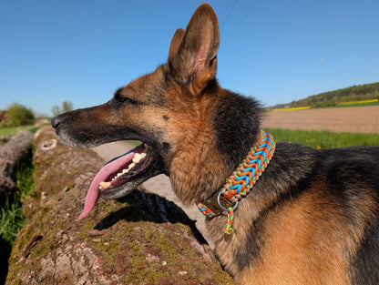 Paracord Hundeset „Electric Summer“ – Halsband mit Metall-Klickverschluss (42,5 cm) & verstellbare Leine – Unikat