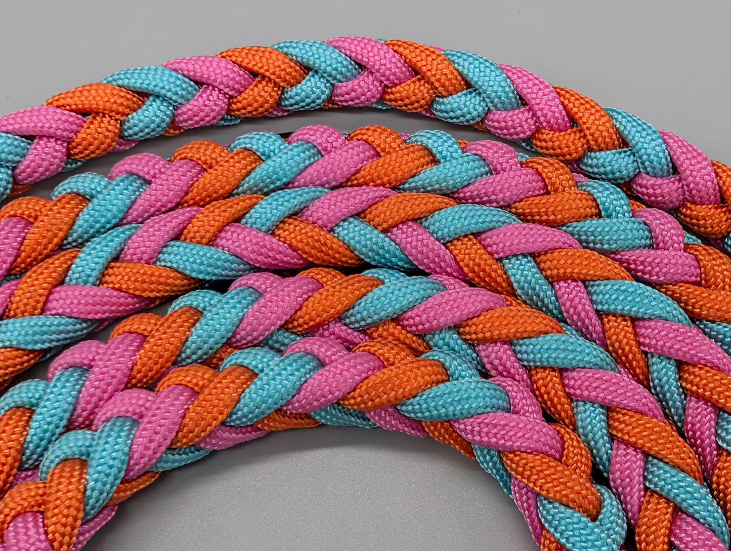 Hundeleine "Midi Bunt"